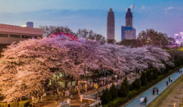 吃瓜爆料抖音网红酒店,吃瓜爆料背后的真实故事