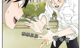 动漫流氓,动漫世界中的街头霸王传奇